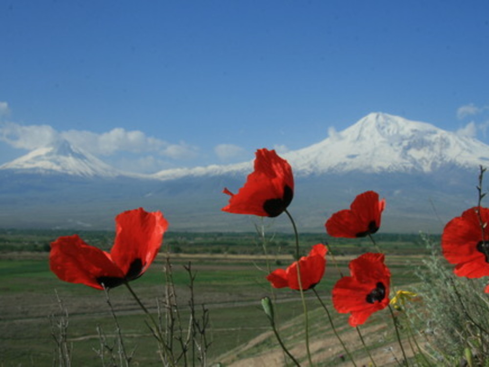Армения за неделю
